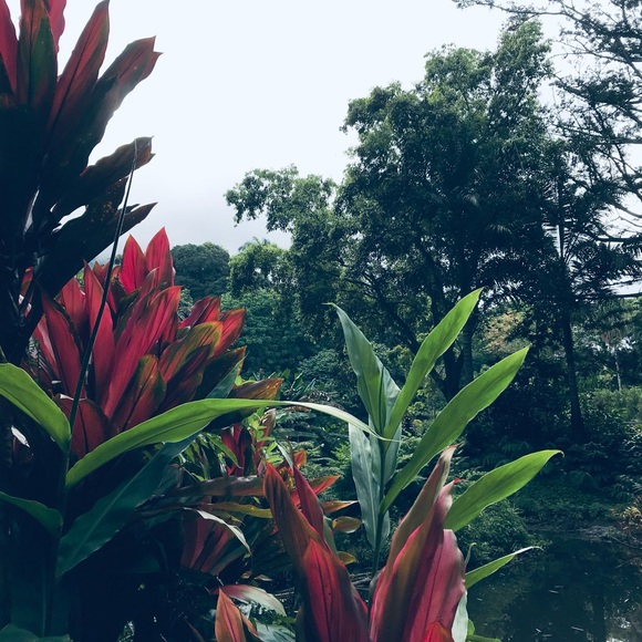 Meet your Posher, Kelcie (Feel Free to Bookmark My Closet) π» - Picture 2 of 5